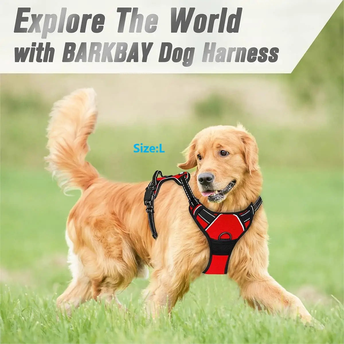No-Pull Dog Harness — Reflective & Adjustable