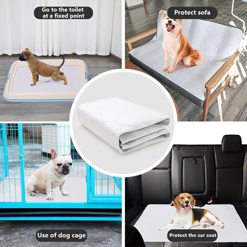 Washable Dog Training Pads — Waterproof & Reusable