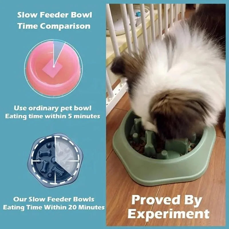 Slow Feeder Dog Bowl — Anti-Bloat Puzzle Bowl