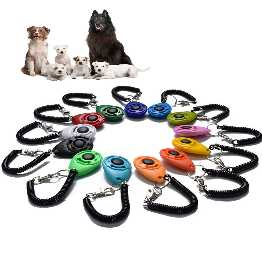 Dog training clicker positive reinforcement — Dogora