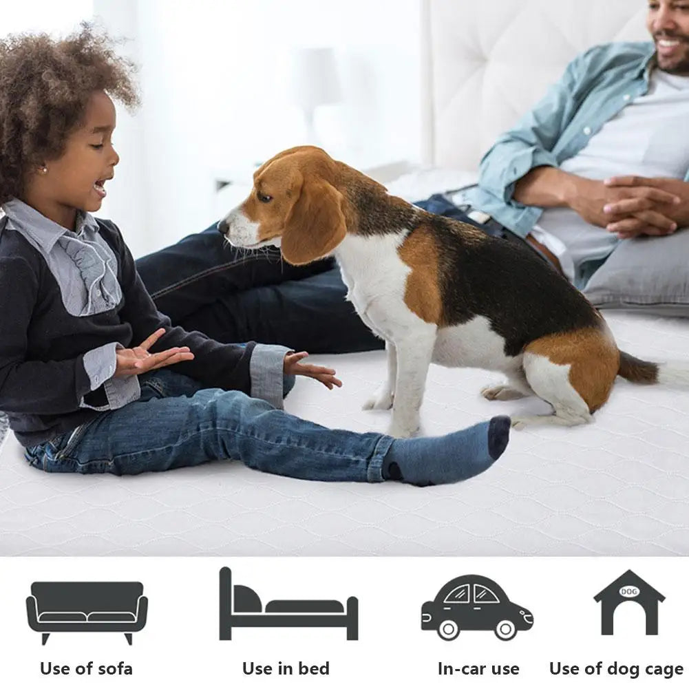 Washable Dog Training Pads — Waterproof & Reusable